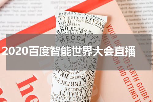 2020百度智能世界大会直播