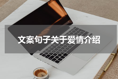 文案句子关于爱情介绍