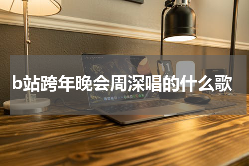 b站跨年晚会周深唱的什么歌