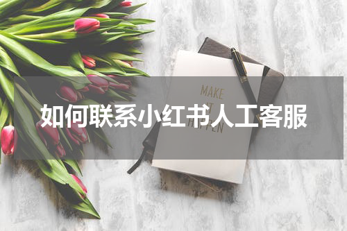 如何联系小红书人工客服
