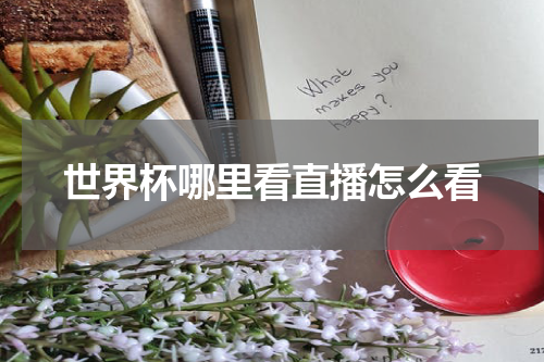 世界杯哪里看直播怎么看
