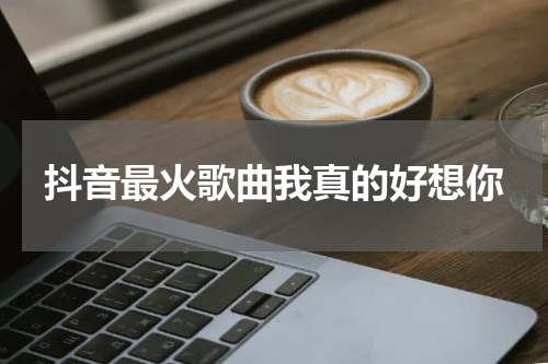 抖音最火歌曲我真的好想你