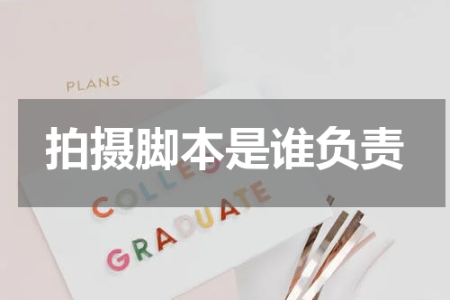 拍摄脚本是谁负责