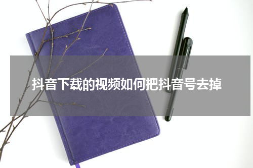 抖音下载的视频如何把抖音号去掉
