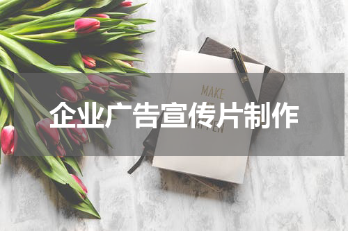 企业广告宣传片制作