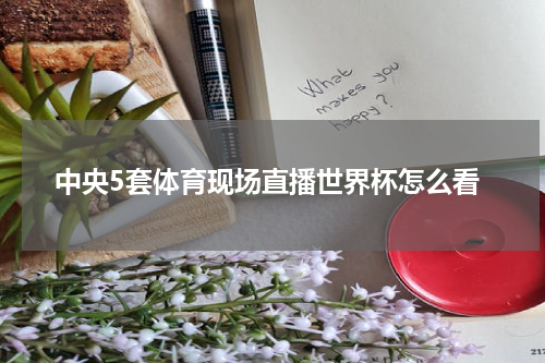 中央5套体育现场直播世界杯怎么看