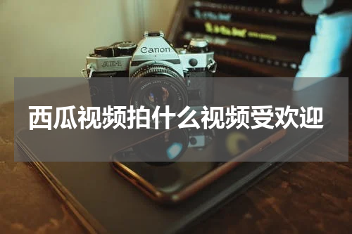 西瓜视频拍什么视频受欢迎