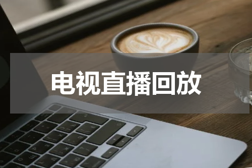 电视直播回放