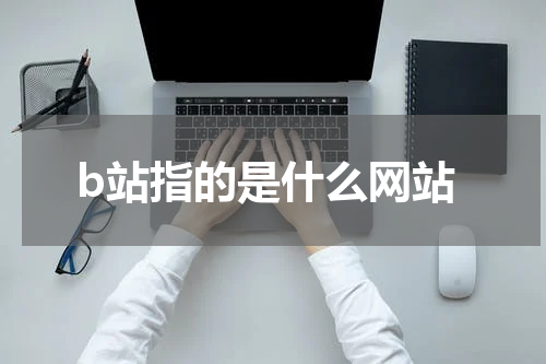 b站指的是什么网站