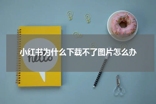 小红书为什么下载不了图片怎么办