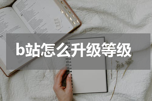 b站怎么升级等级