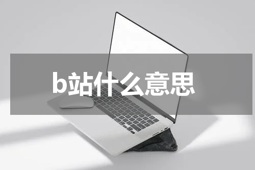 b站什么意思