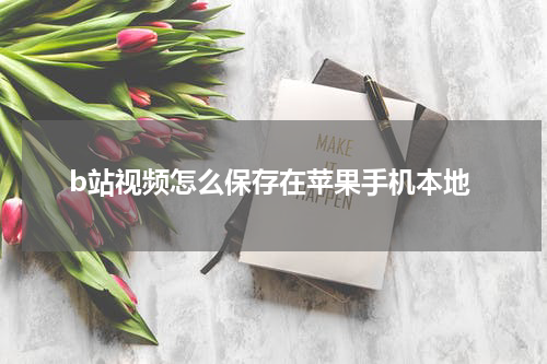 b站视频怎么保存在苹果手机本地