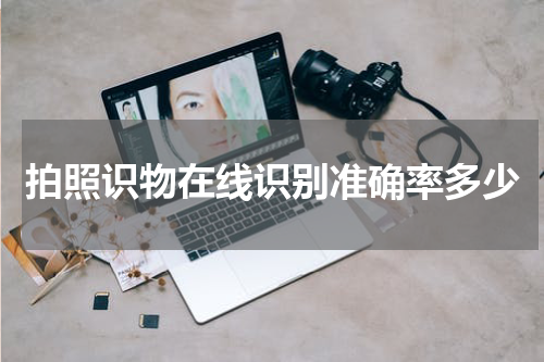 拍照识物在线识别准确率多少