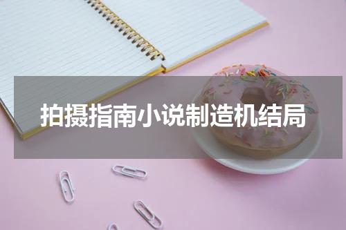 拍摄指南小说制造机结局