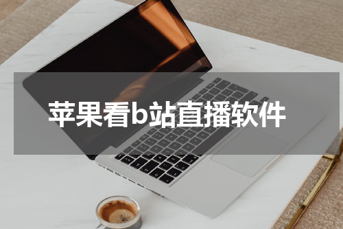 苹果看b站直播软件