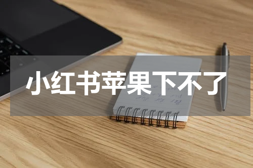 小红书苹果下不了