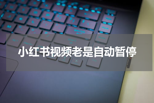 小红书视频老是自动暂停