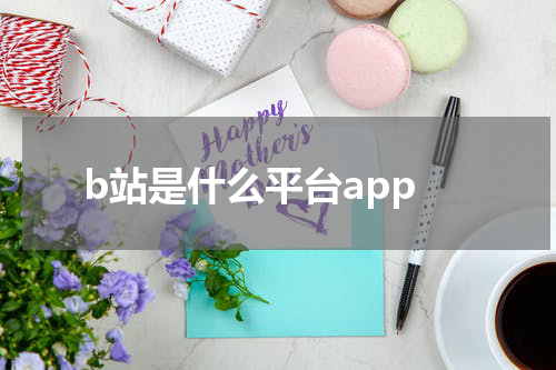 b站是什么平台app