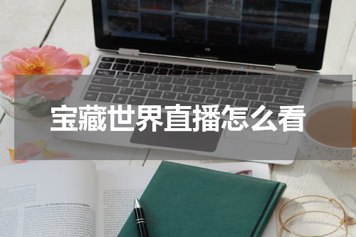宝藏世界直播怎么看