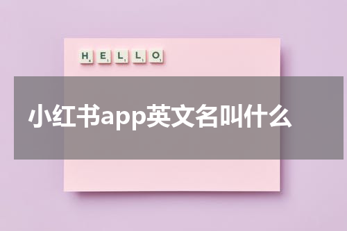 小红书app英文名叫什么