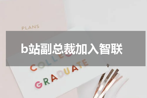 b站副总裁加入智联
