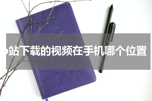 b站下载的视频在手机哪个位置