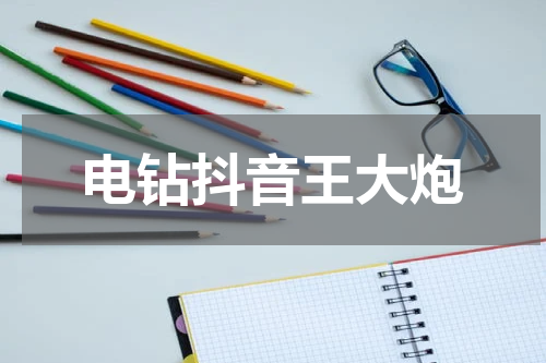 电钻抖音王大炮