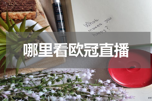 哪里看欧冠直播