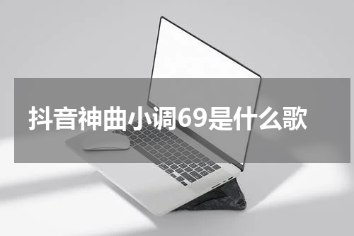 抖音神曲小调69是什么歌