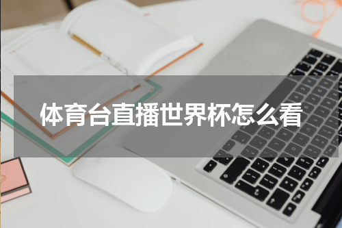 体育台直播世界杯怎么看