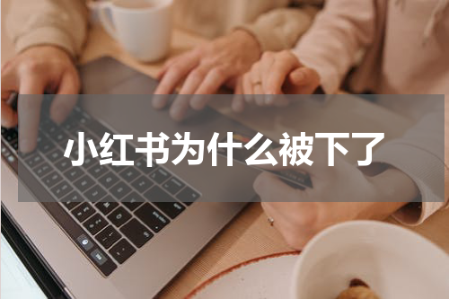 小红书为什么被下了