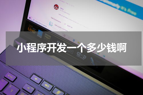 小程序开发一个多少钱啊
