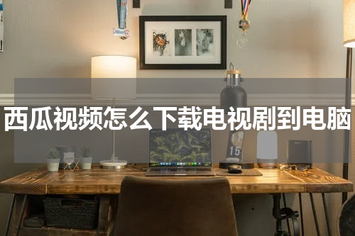 西瓜视频怎么下载电视剧到电脑