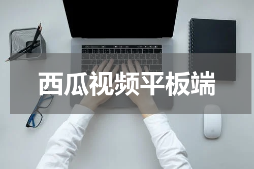 西瓜视频平板端