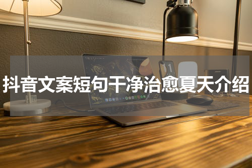 抖音文案短句干净治愈夏天介绍