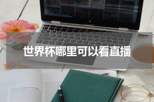 世界杯哪里可以看直播
