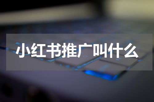 小红书推广叫什么