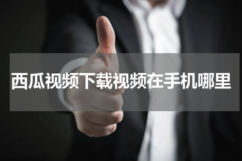 西瓜视频下载视频在手机哪里