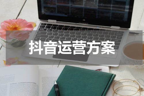 抖音运营方案