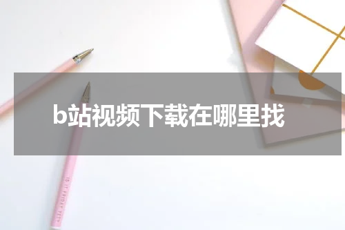 b站视频下载在哪里找