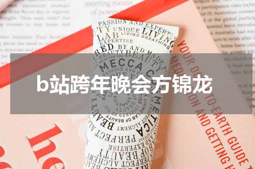 b站跨年晚会方锦龙