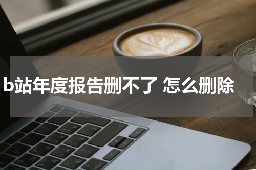 b站年度报告删不了 怎么删除