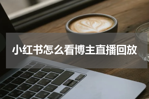小红书怎么看博主直播回放