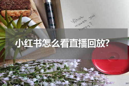 小红书怎么看直播回放?