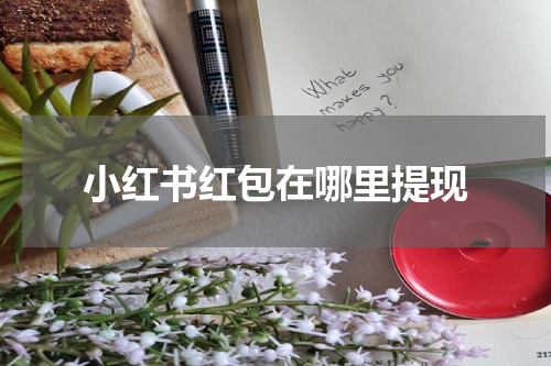 小红书红包在哪里提现