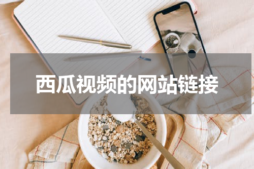 西瓜视频的网站链接