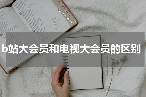 b站大会员和电视大会员的区别