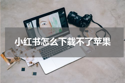 小红书怎么下载不了苹果