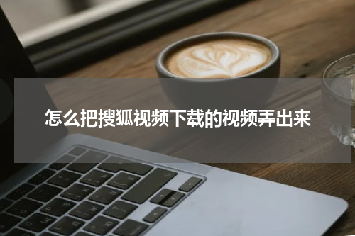 怎么把搜狐视频下载的视频弄出来